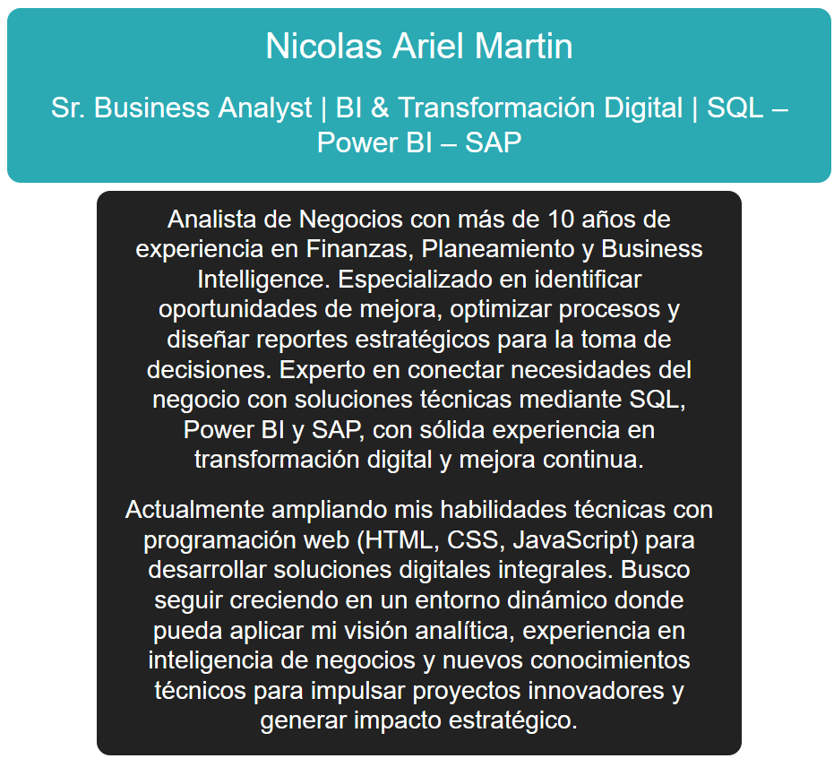 CV Profesional Nicolas Martin